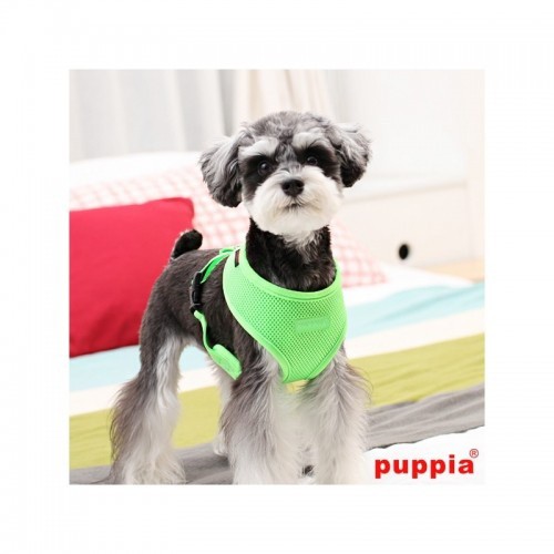 Coleira peitoral macia neon para cães, verde