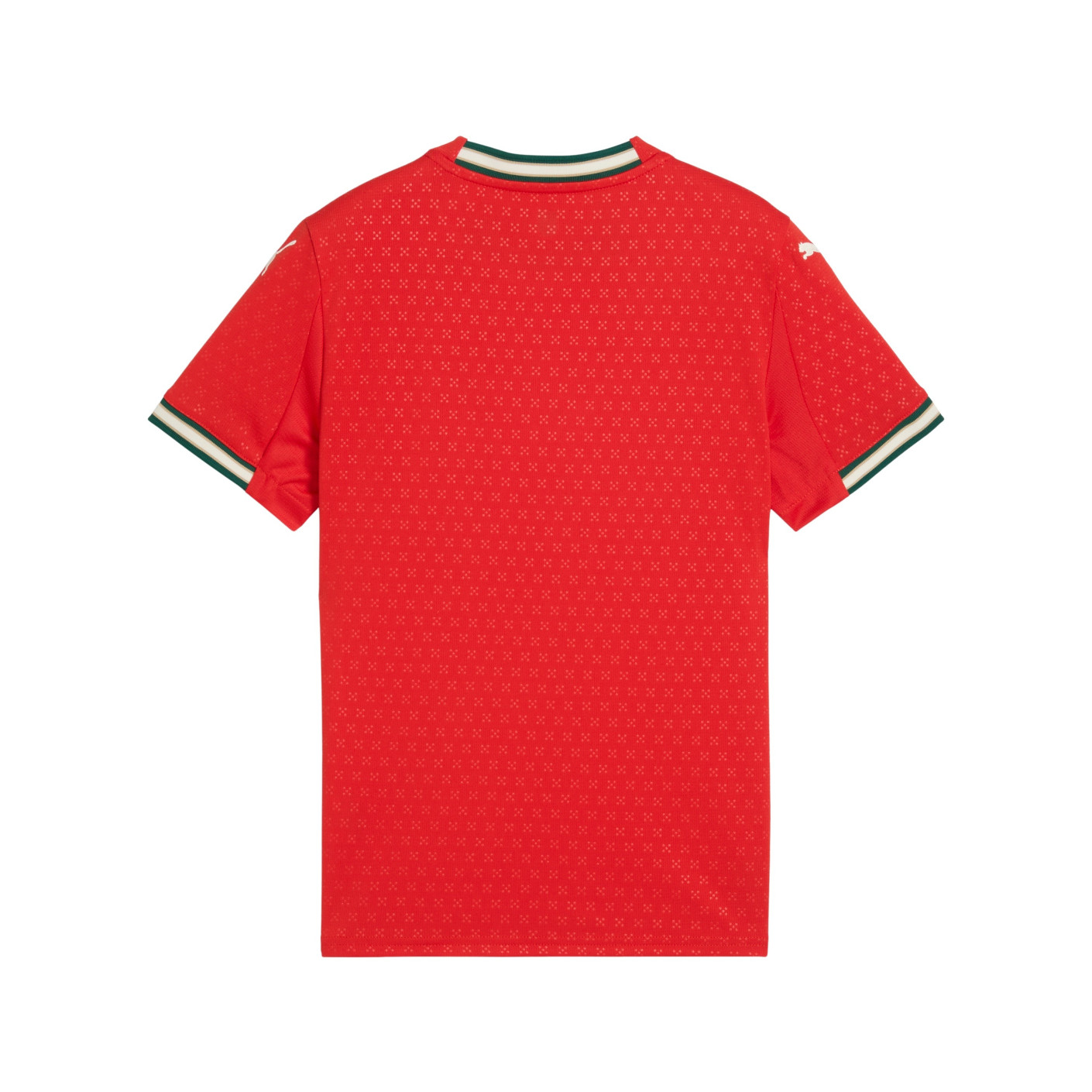 PUMA Portugal Thuisset 2025-2026