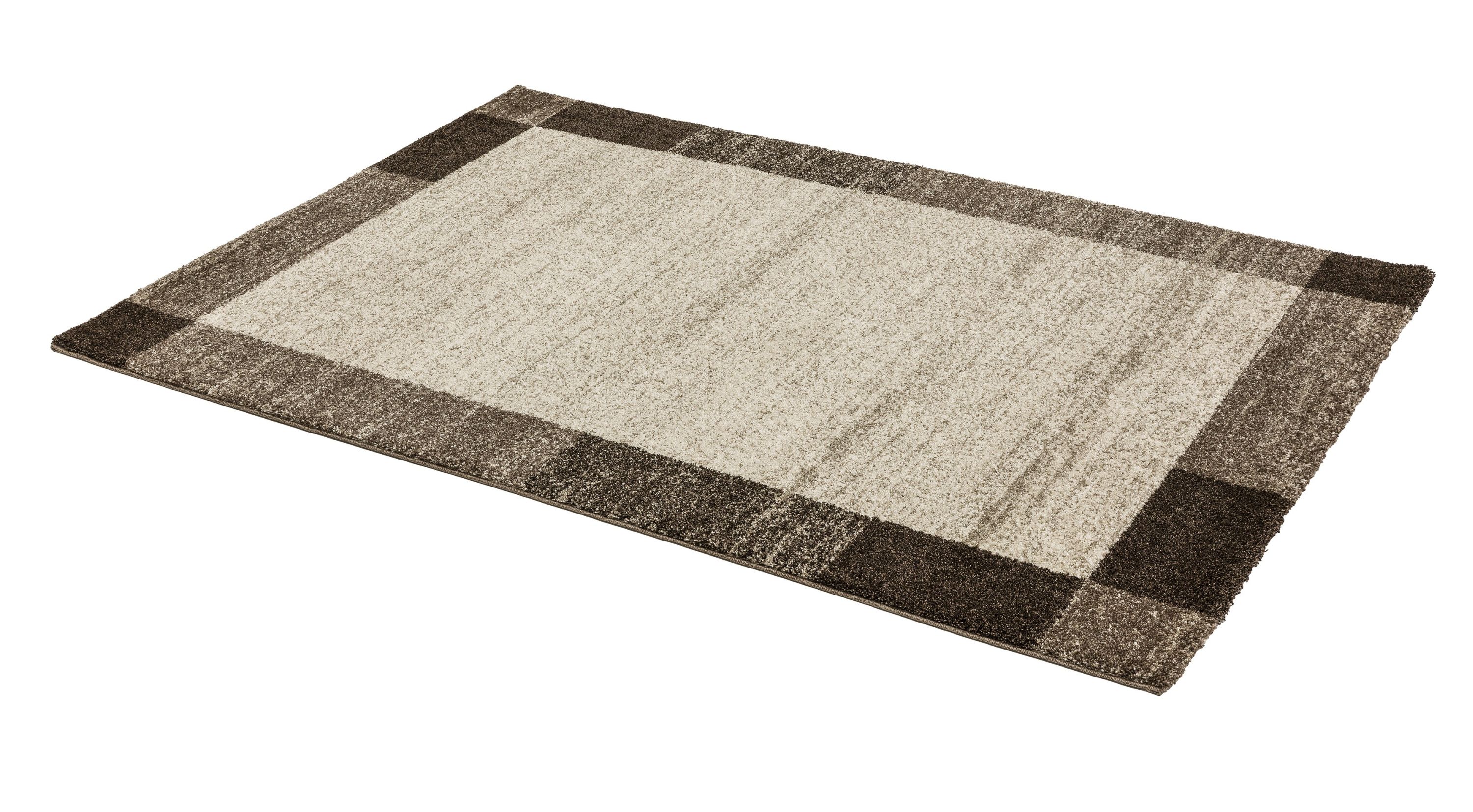 Teppich SAMOA/Bordüre,braun