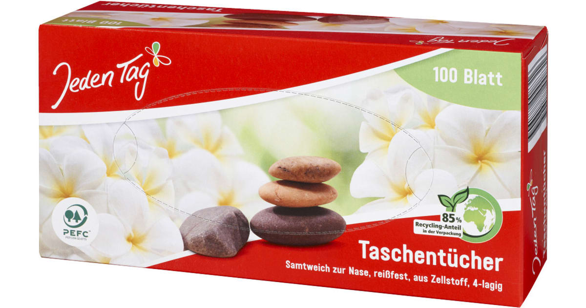 Jeden Tag Taschentücher Box 100er-Packung 4-lagig
