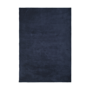Vloerkleed Ravi Blauw 160x230 cm