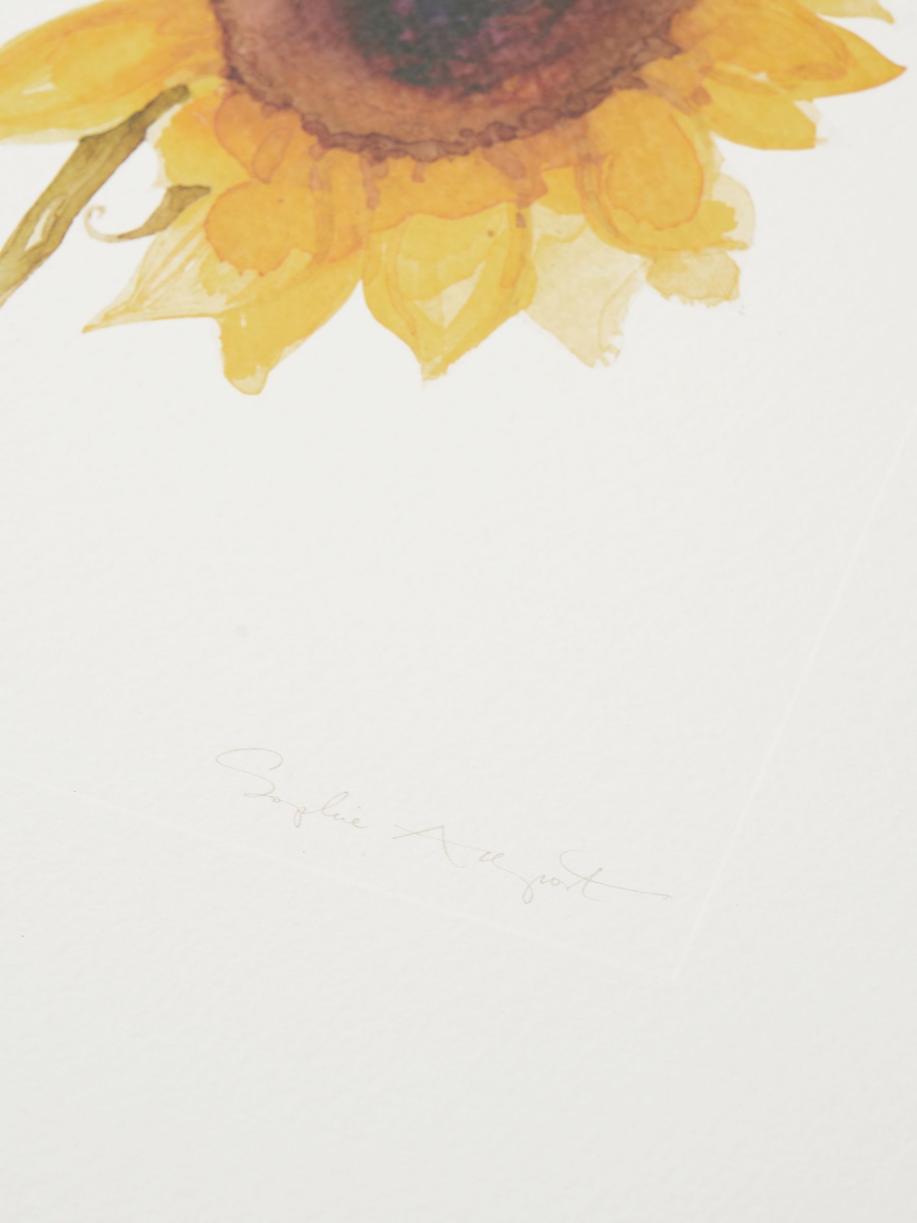Sophie Allport wanddecoratie met meerdere zonnebloemprints