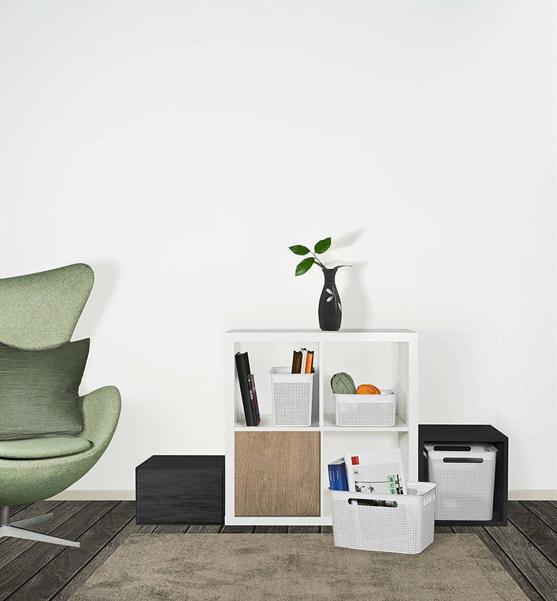 rotho Box BRISEN