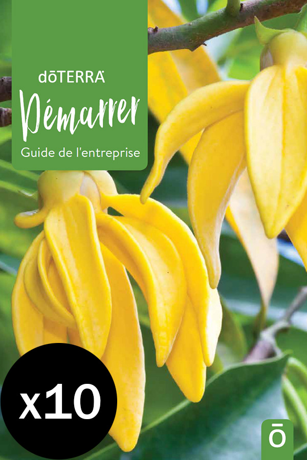 Démarrer (français) 10pk