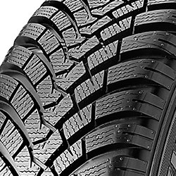 Falken EUROWINTER HS01 RUNFLAT 205/60 R16 92H, runflat BLK