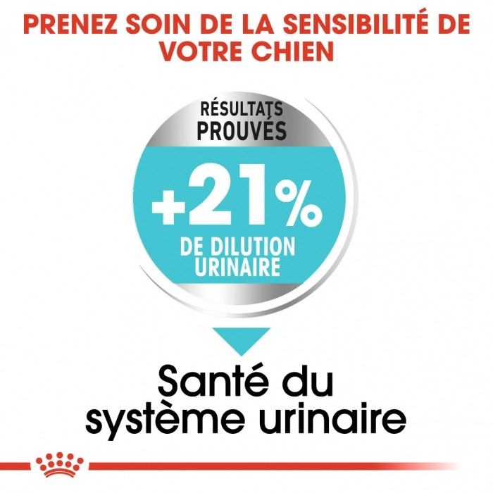 Royal Canin Mini Urinary Care - Croquettes pour chien