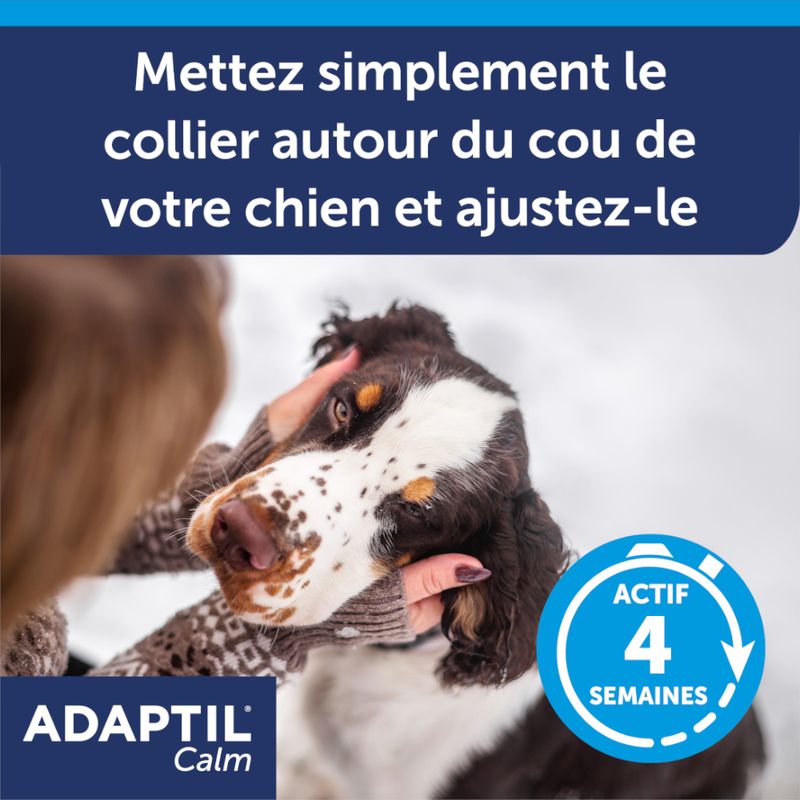 Collier ADAPTIL Calm