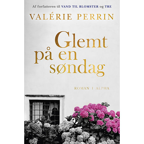 Glemt på en søndag - Valérie Perrin