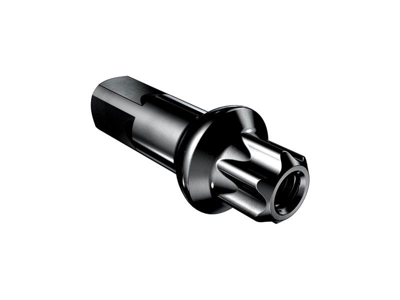 DT Swiss Pro Lock Squorx Eikenippel