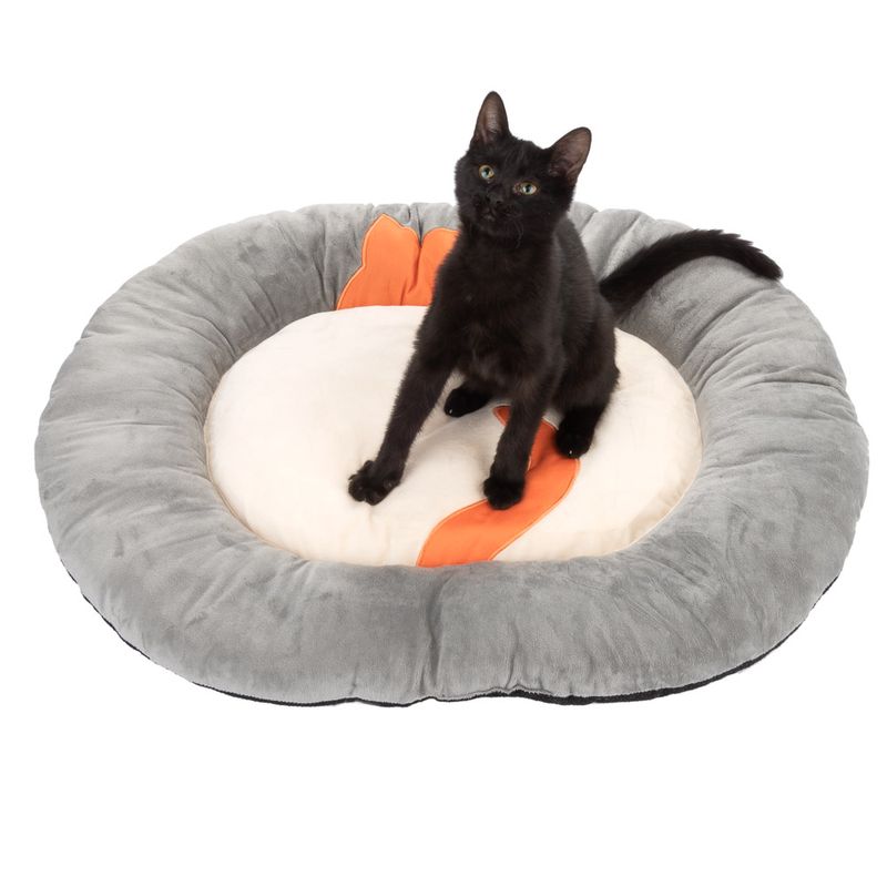 Coussin Ginger