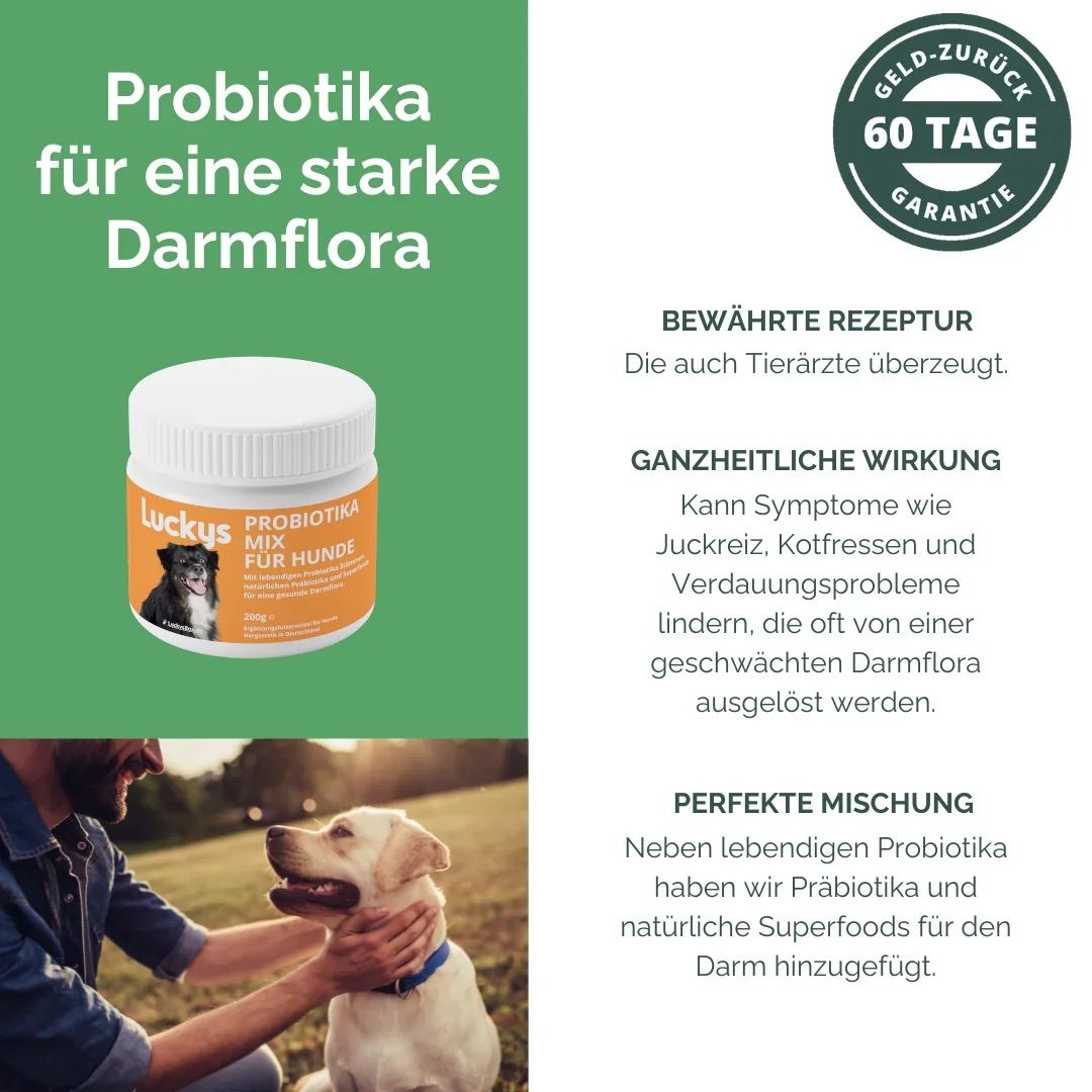 Luckys Box Probiotika-Mix für Hunde