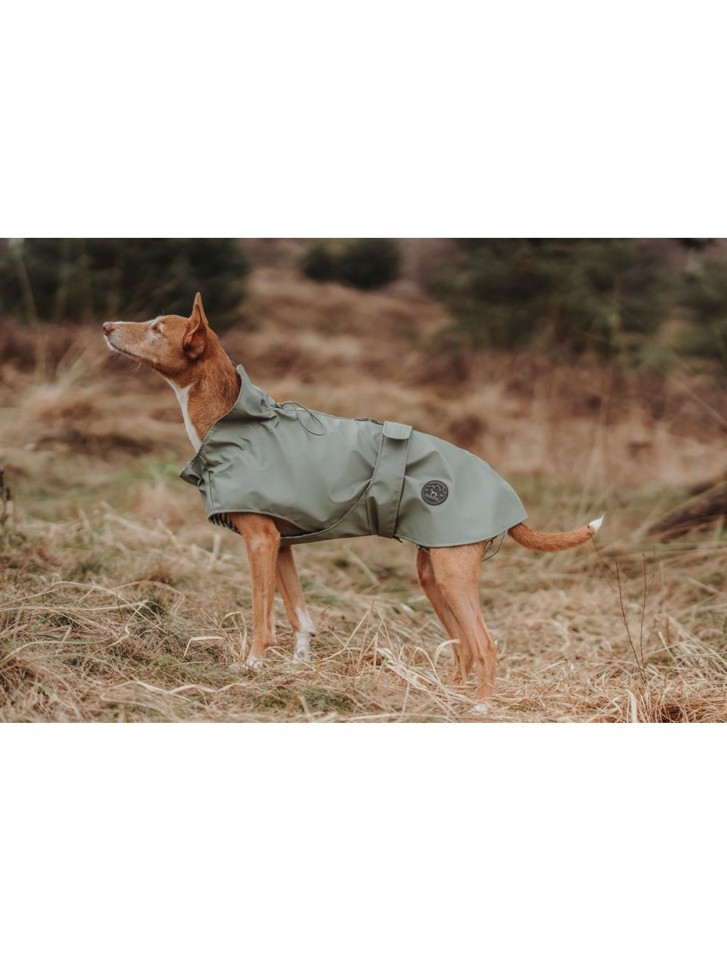 Hunter - Hunde Regnjakke Milford 75, grøn