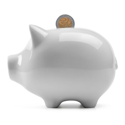 Sparschwein konservativ
