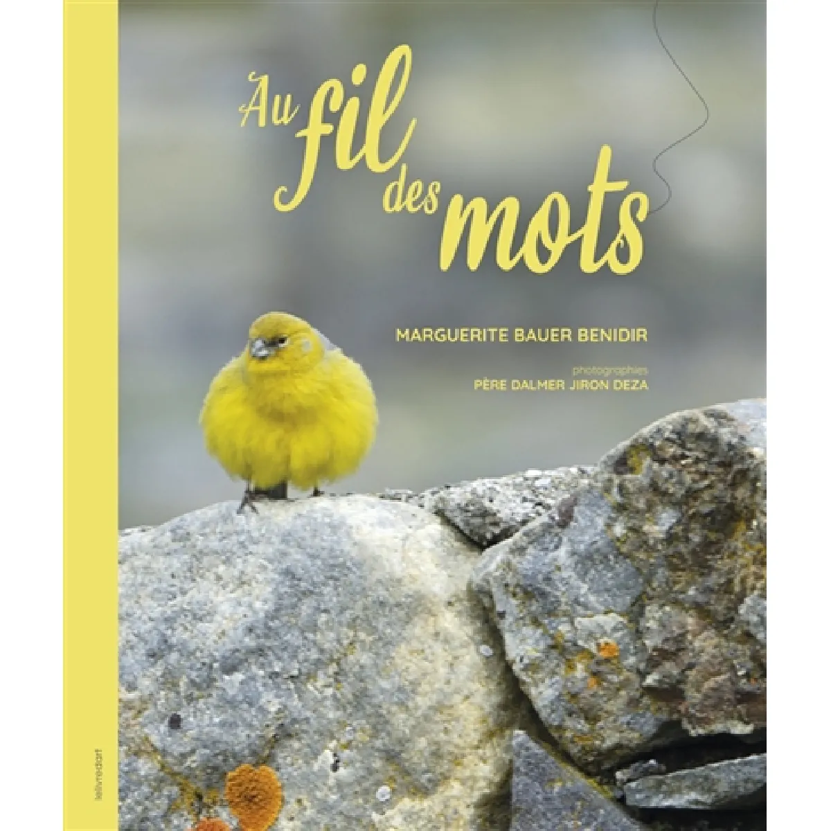 Au fil des mots · Occasion