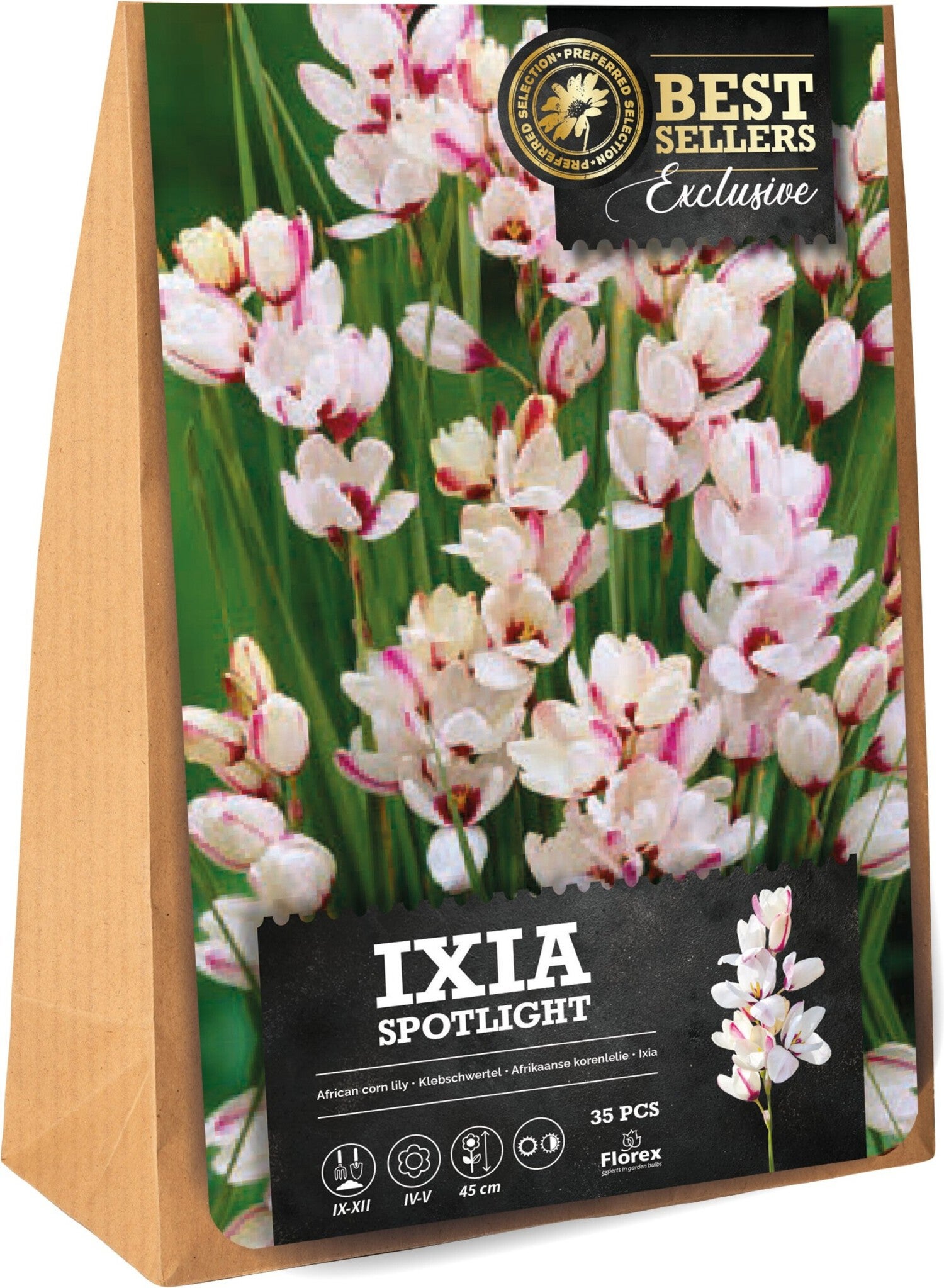 Florex bloembol Afrikaanse korenlelie (Ixia 'Spotlight') 35 stuks