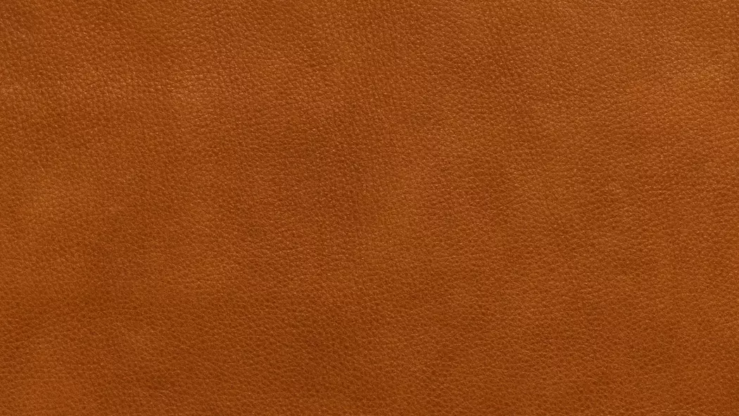 Sessel Safira