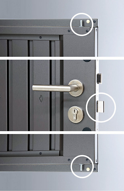 Abri de jardin double porte Biohort HighLine H1 en métal coloris gris foncé métallique ép.0,53 mm surface extérieure 4,26 m²