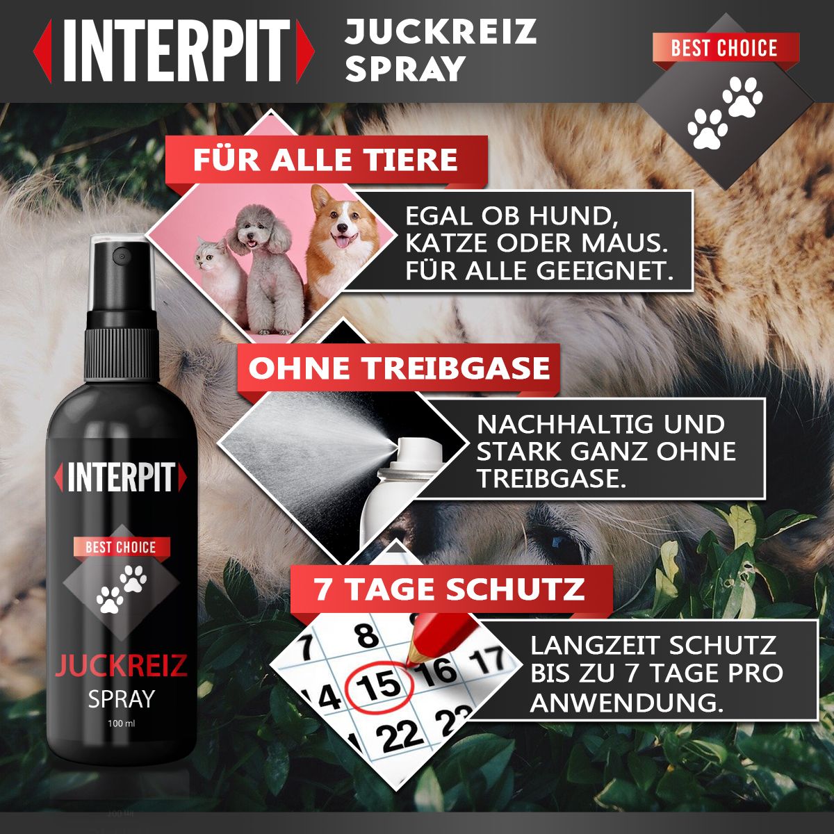 Interpit® | Juckreiz Spray für Hund und Katze