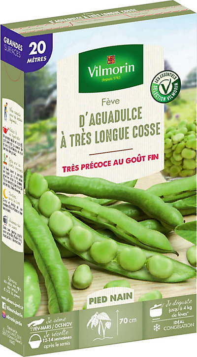 Graines de fève d'Aguadulce 20M VL