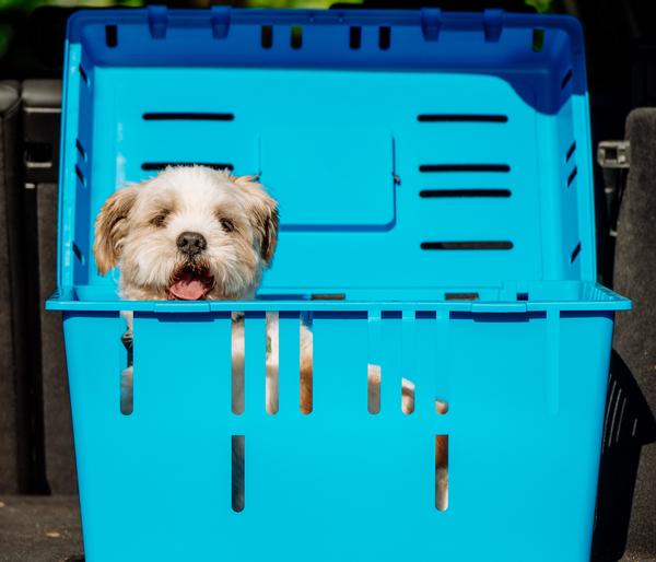 Nobby Transportbox Pet Daddy II, ca.