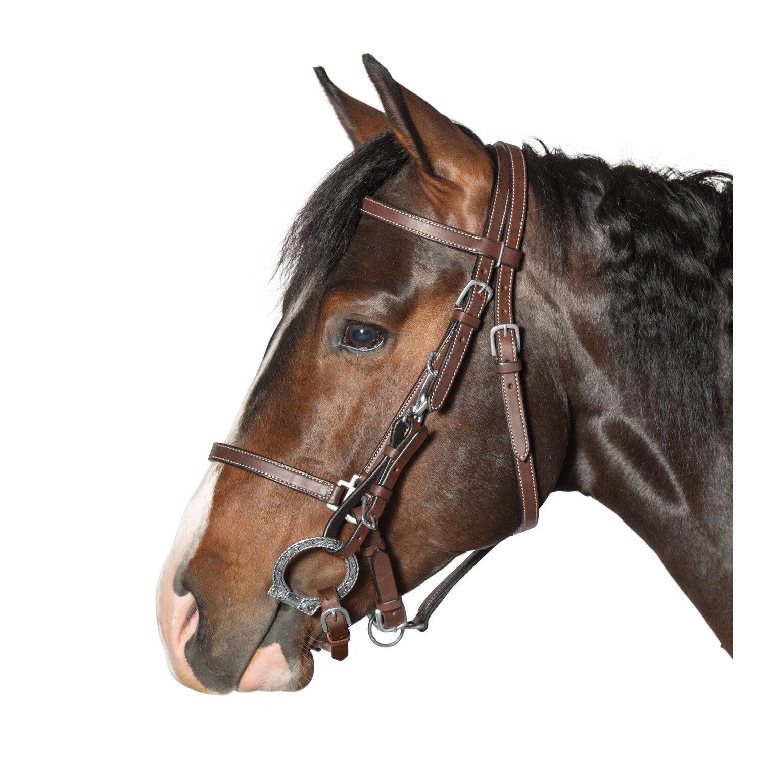 L-pro West Wanderreittrense  - brown