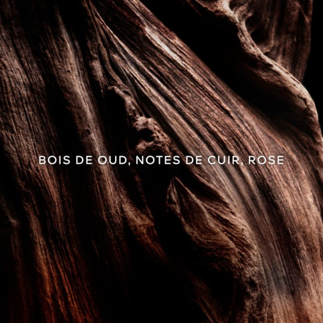 Absolus Allegoria Oud Essentiel Eau de Parfum GUERLAIN