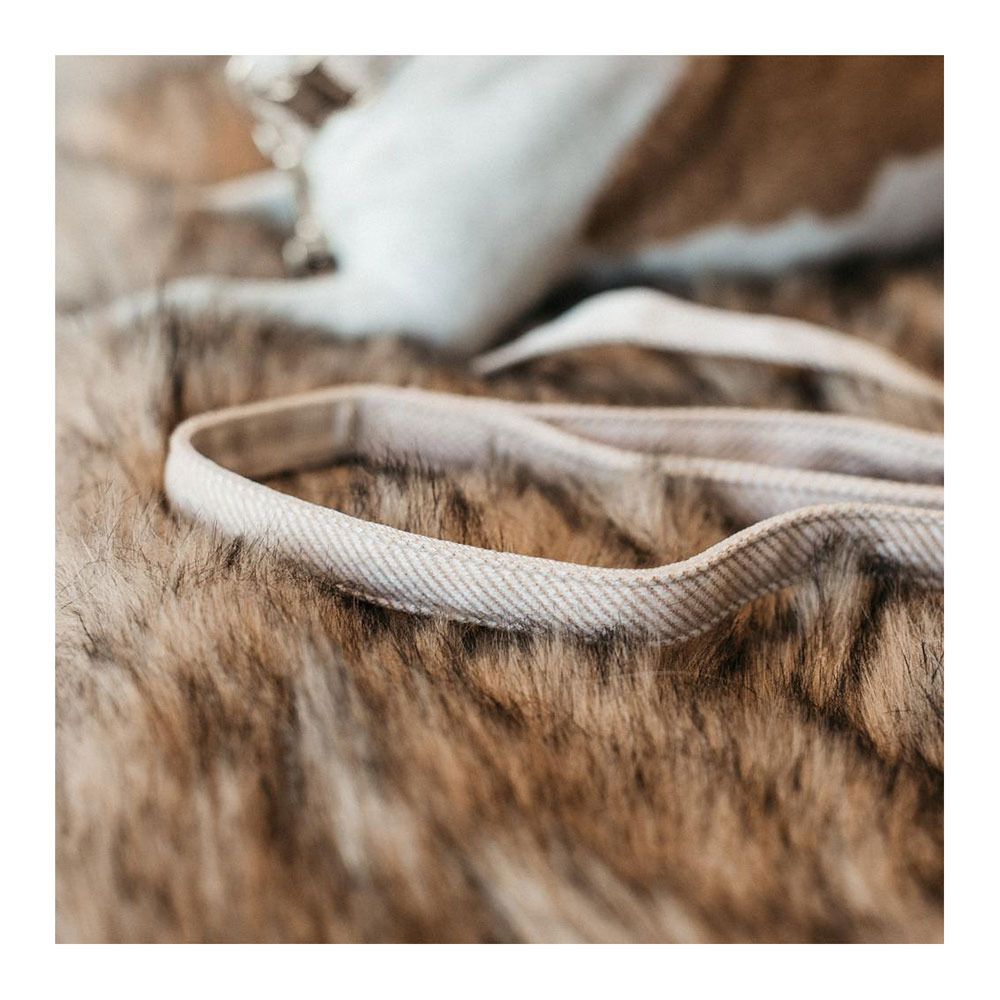 Kentucky LAINE 2M - Laisse pour chien beige