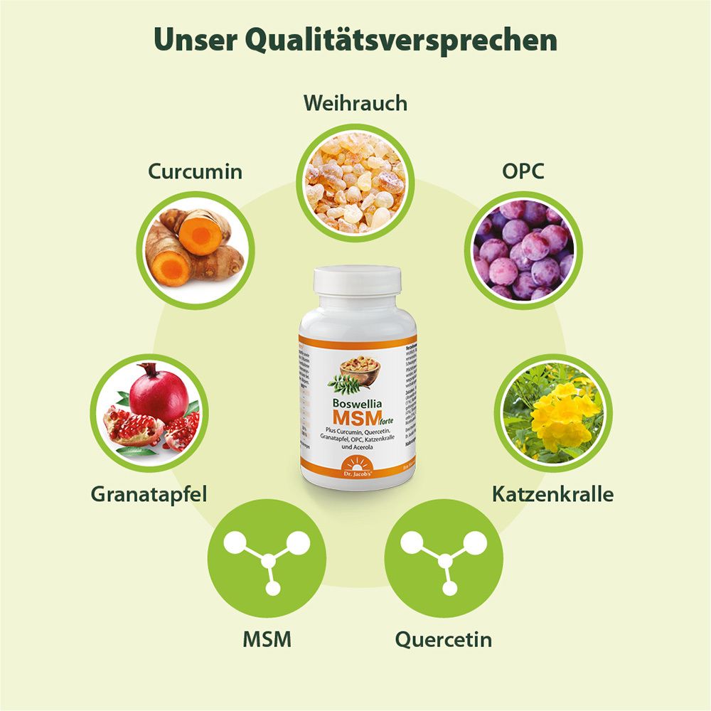 Dr. Jacob's Boswellia MSM forte Weihrauch Curcumin Quercetin Granatapfel OPC
