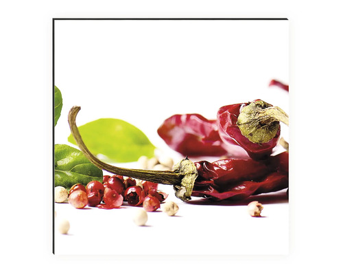 Keukenachterwand mySpotti Profix Kruiden en Specerijen 100 x 60 cm PX-10060-793-HB