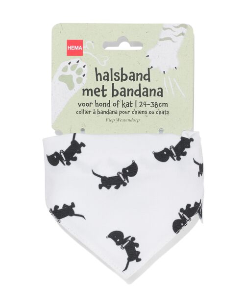 collier Takkie avec bandana pour chien ou chat 24-38cm