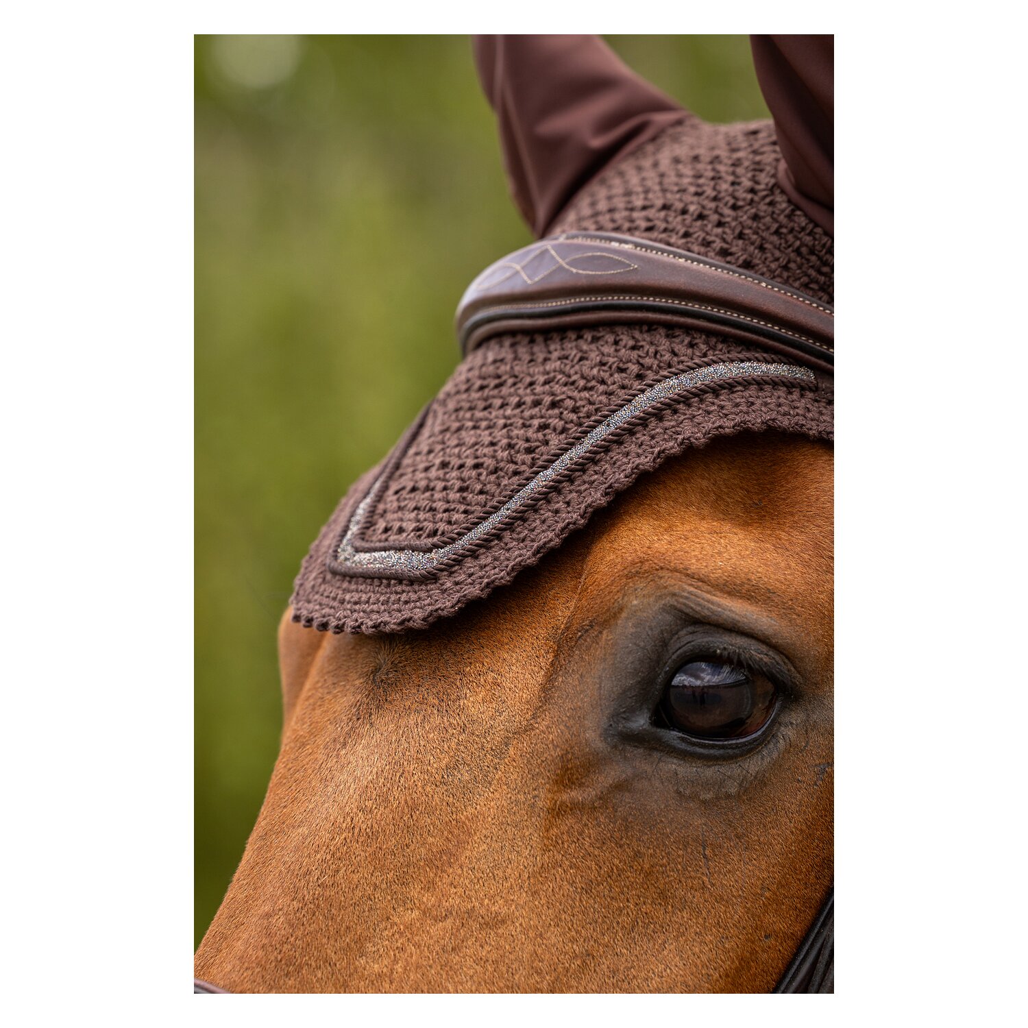 LeMieux Core Fliegenohren Crystal  - brown - WB