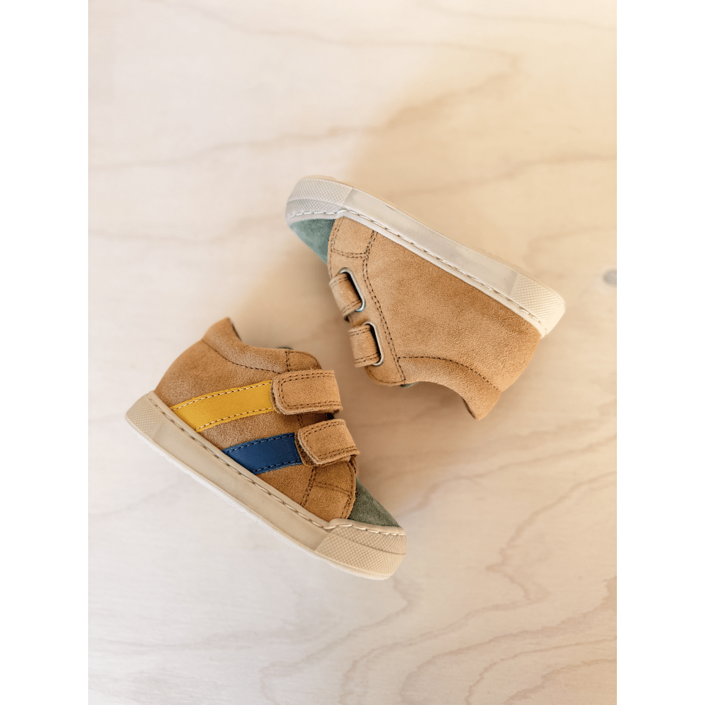 FALCOTTO - Sneaker met stootneus - Gazer