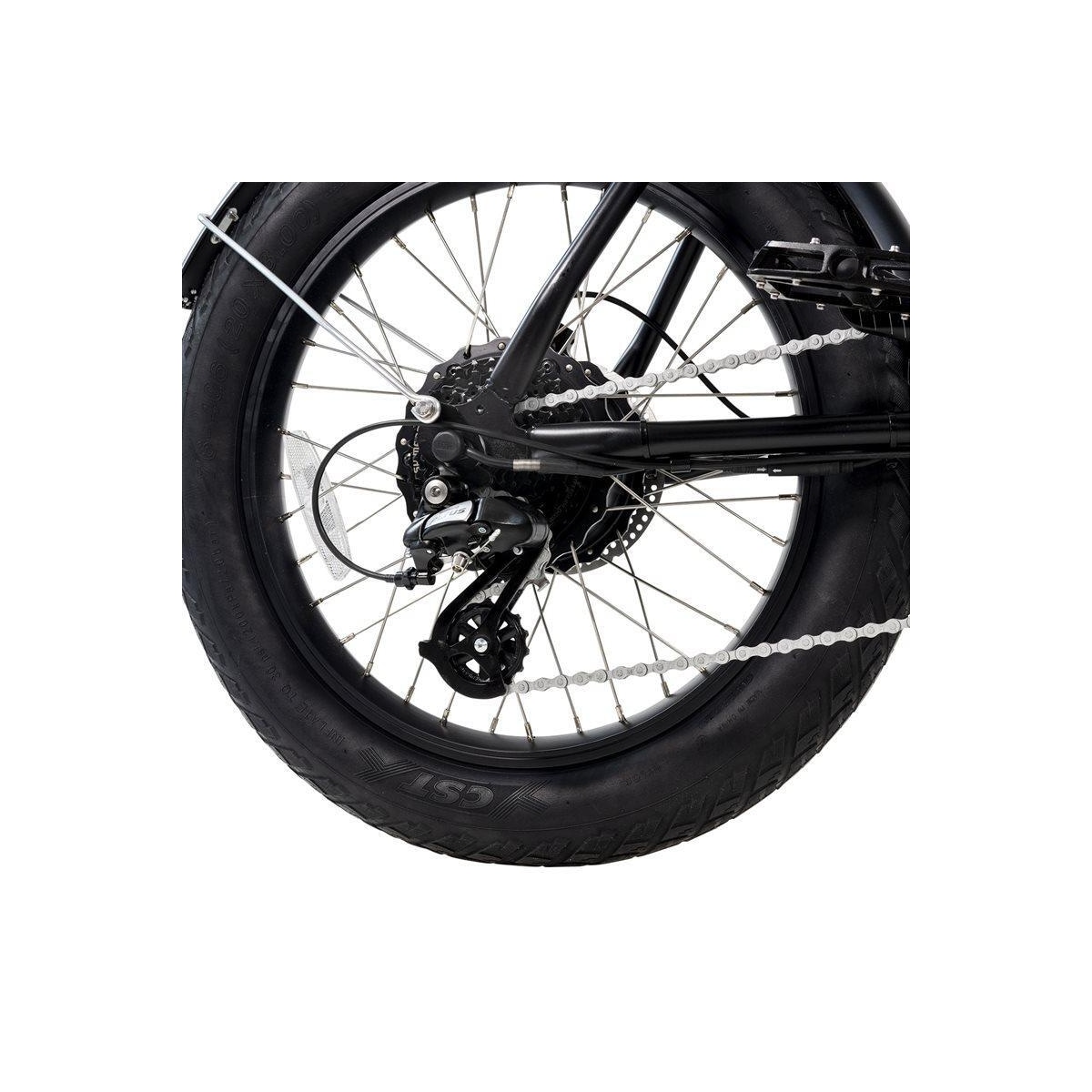EvoBike Cargo Duo Box