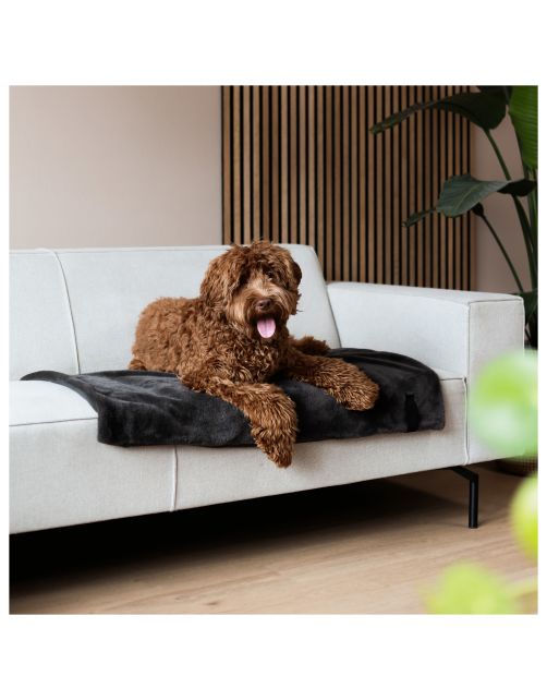 District 70 Nuzzle Blanket 100x70 cm - Hondendeken
