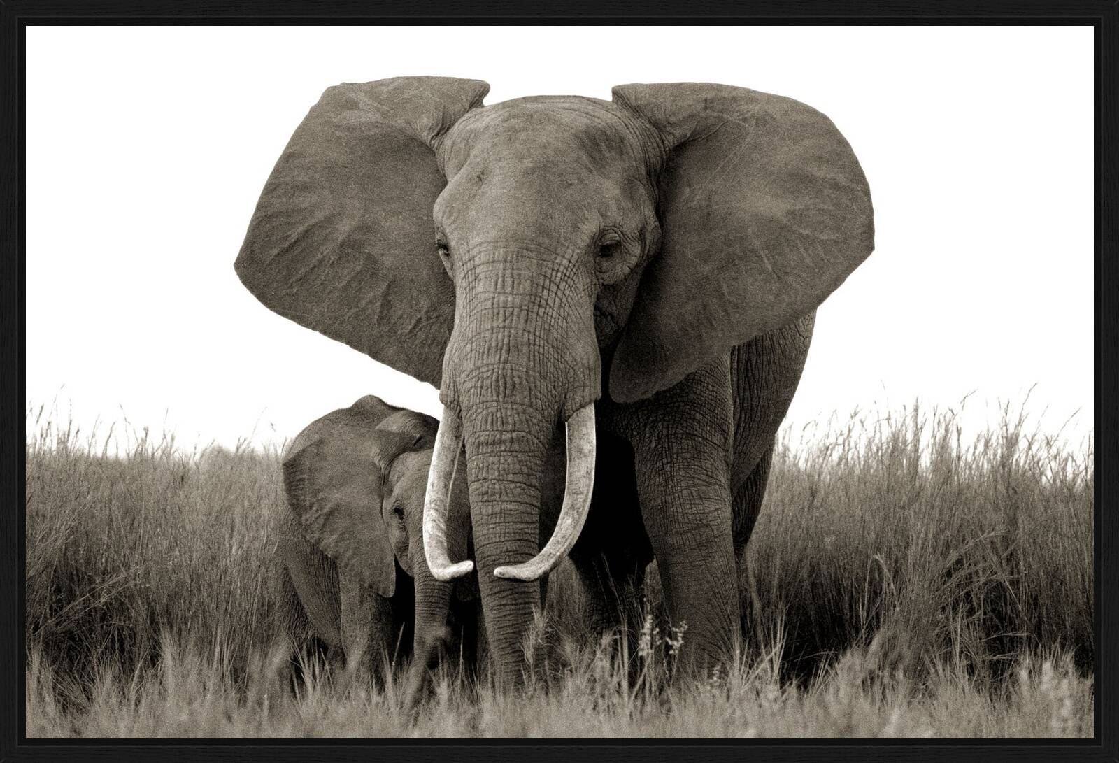 Elephant and baby by Horst Klemm - Limited Edition. Edition of: 150. Signed.