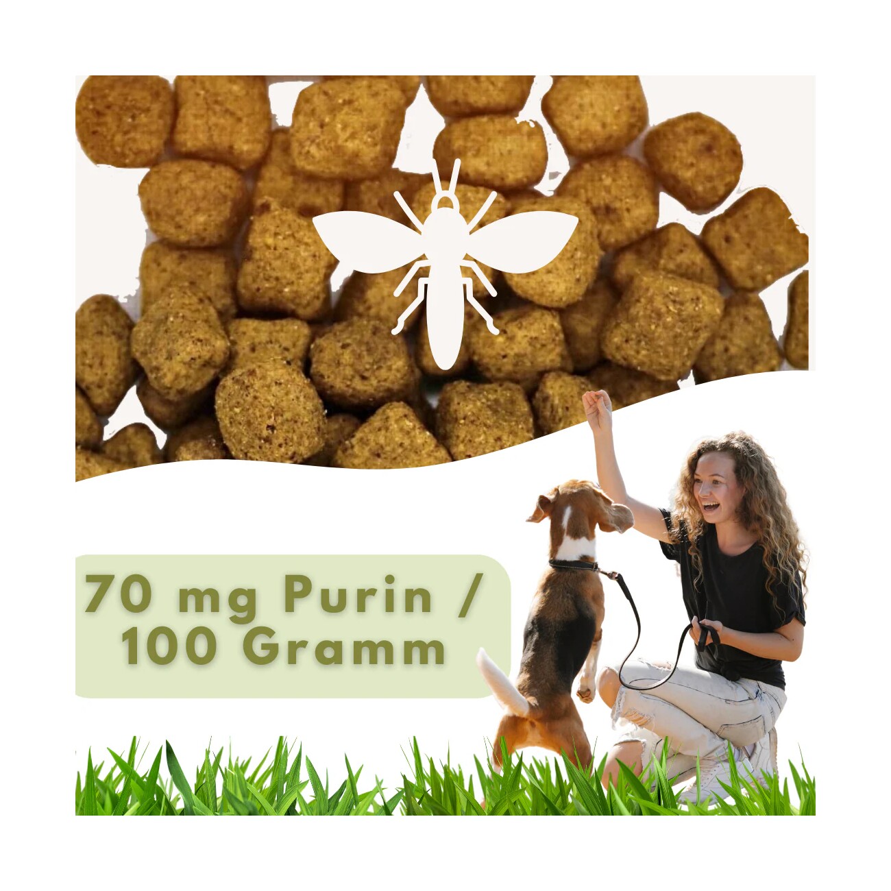 MyPetClub Insekten Purinarm