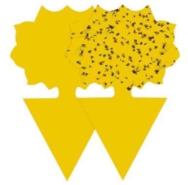 Fluefanger 12-pakning