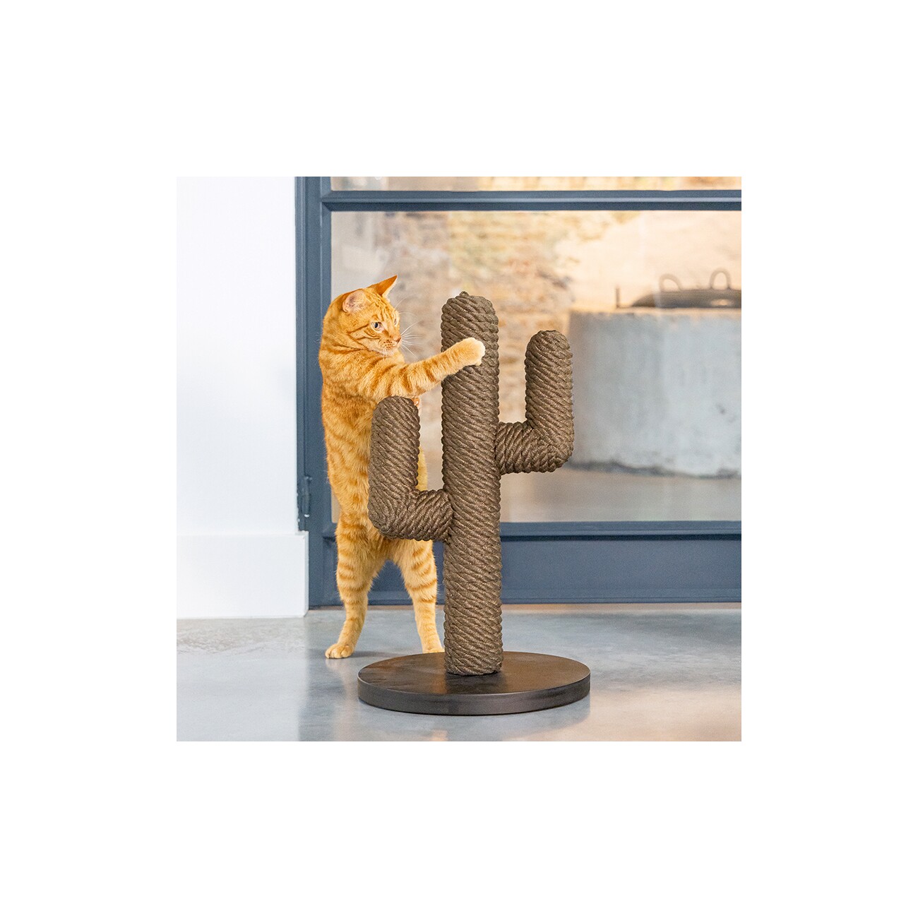 Designed by Lotte DBL Kratzbaum Kaktus schwarz