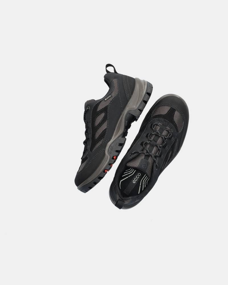 Ecco Xpedition III Wandelschoenen  - zwart