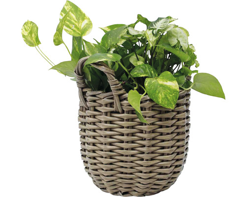 Lafiora polyrotan mand, Ø 27 cm, H 23 cm, bruin