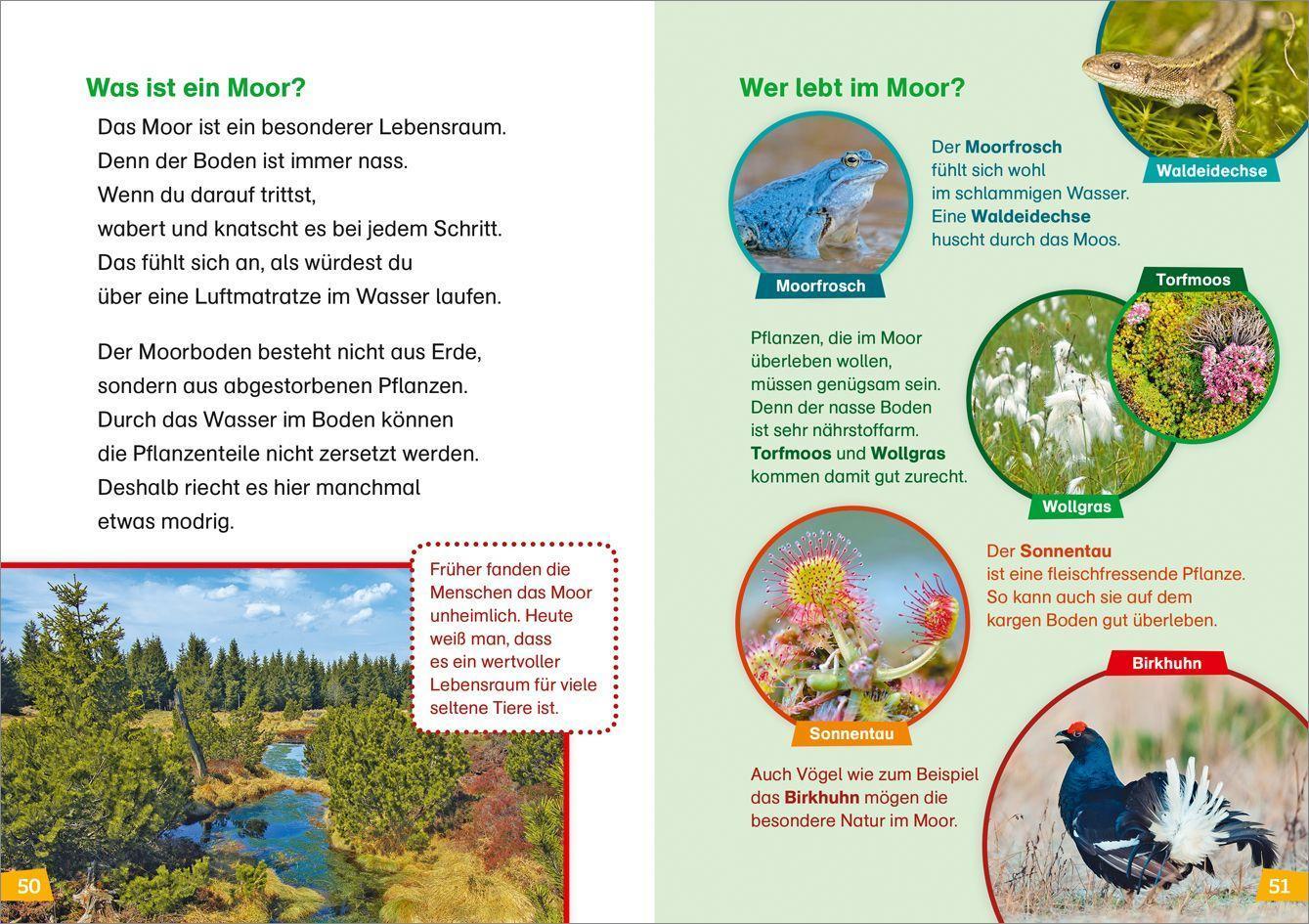 Natur entdecken und schützen / WAS IST WAS Erstes Lesen Bd.4