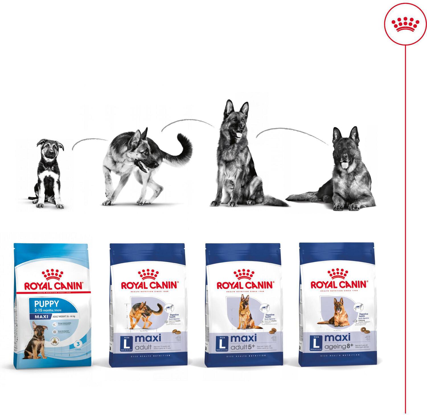Royal Canin hondenvoer Maxi adult 5+ 15 kg