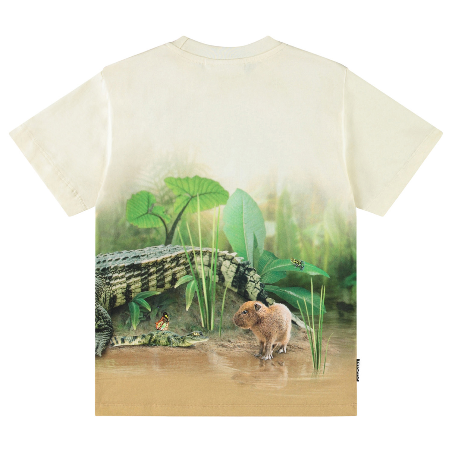 Rubin - Capybara Chill