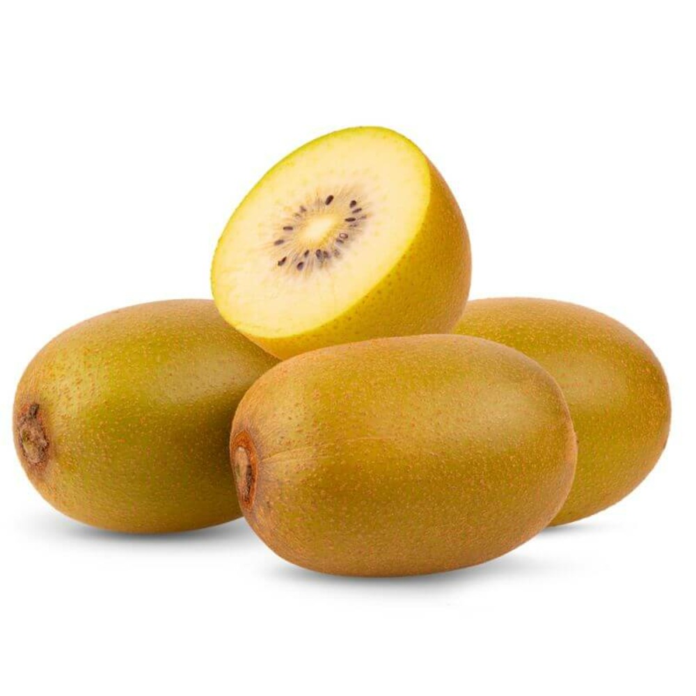 Kiwi golden (mâle) - conteneur 3l