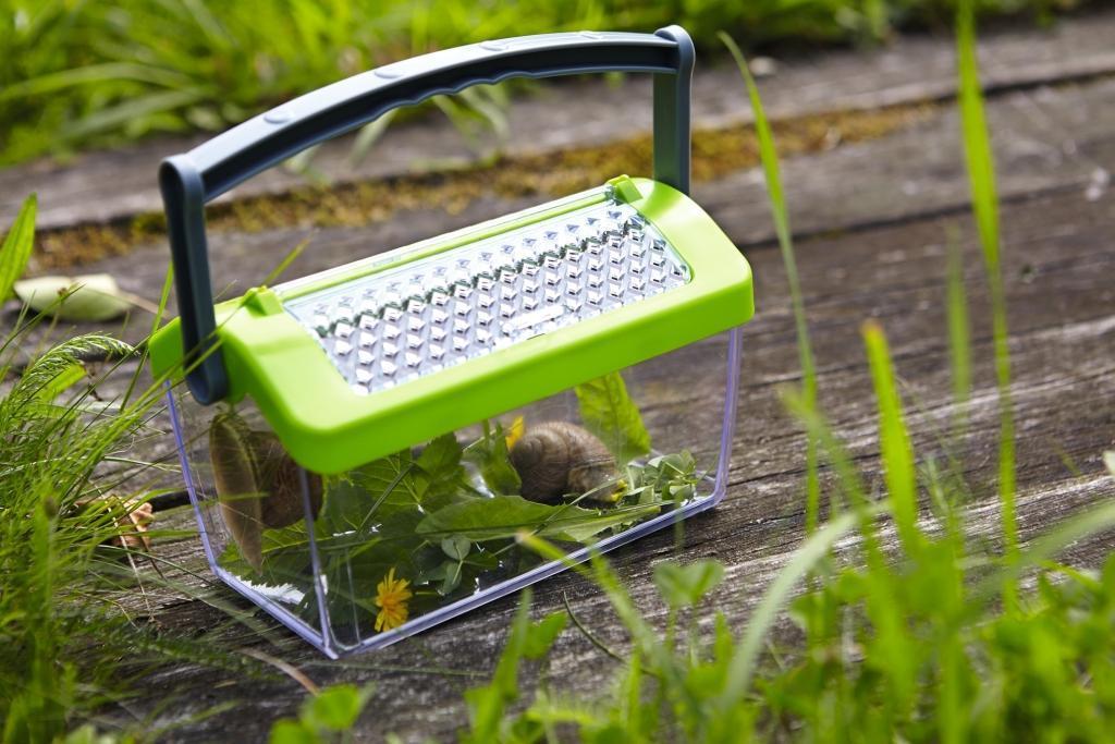 Insektenbox TEKids in grün