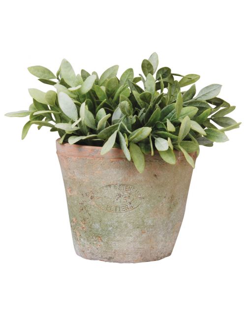 Esschert's Garden Aged Terra Cotta Pot - Bloempotten - Ø16x13 cm Rood