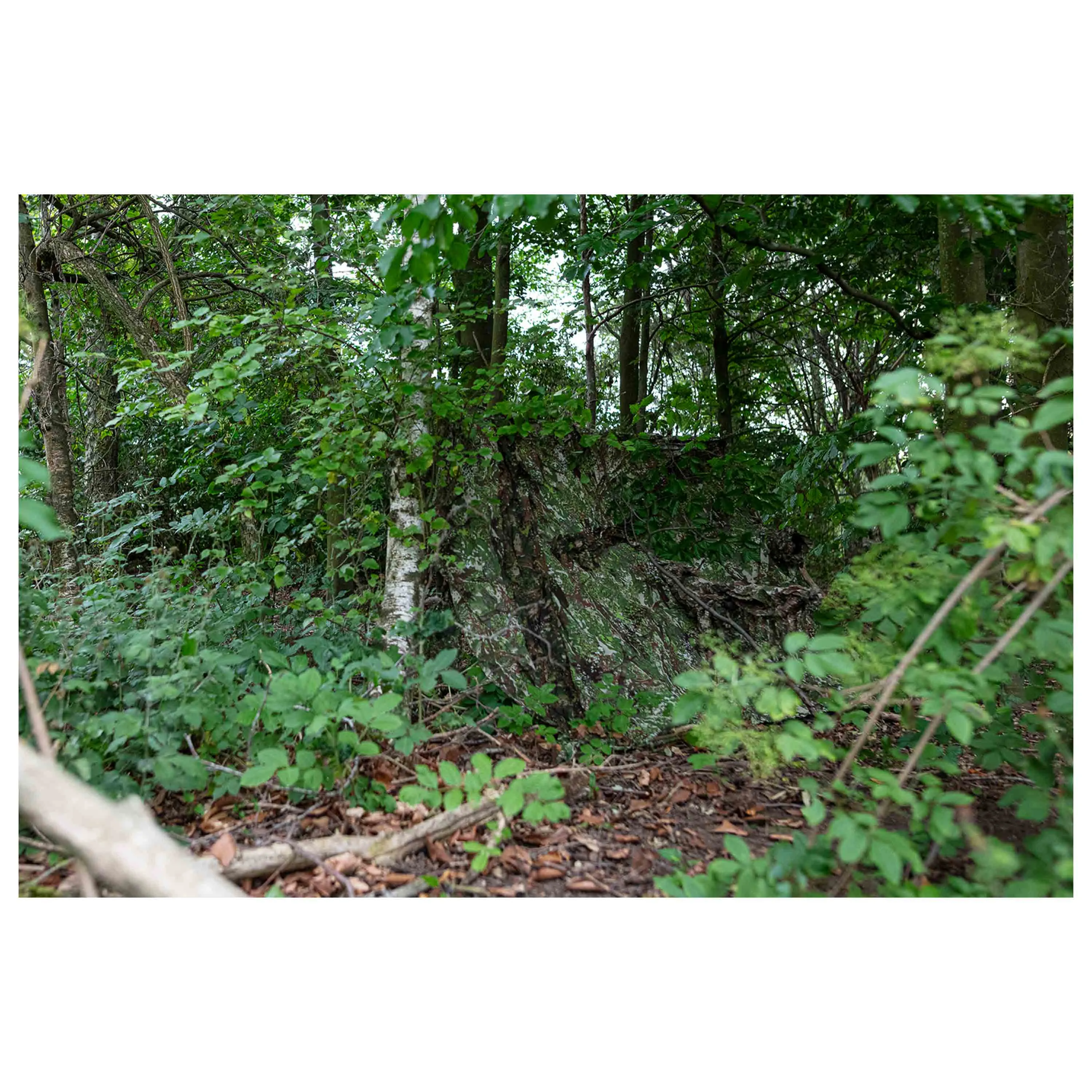 Ghosthood -  Tarnnetz Recce Net