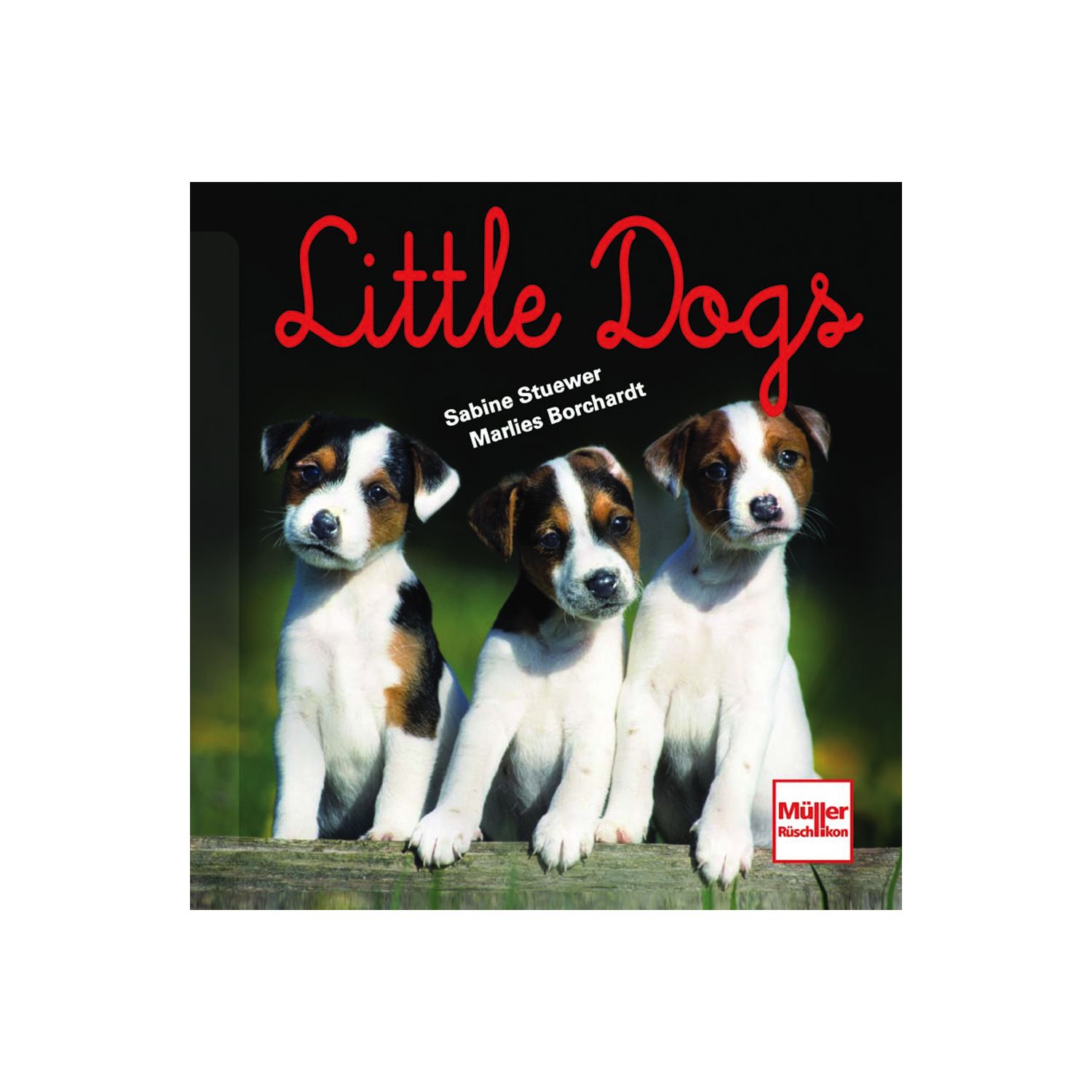 Little Dogs
