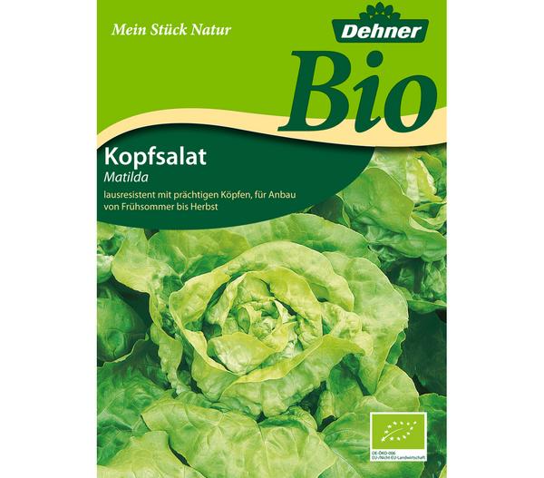 Dehner Bio Samen Kopfsalat 'Matilda'