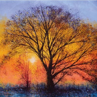 The Big Tree At Sunset Card